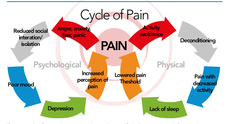 HOW PHYSICAL THERAPY CAN HELP IF YOU SUFFER FROM CHRONIC PAIN - The Putney Clinic of Physical Therapy