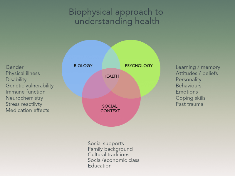 Biophysical approach to understanding health